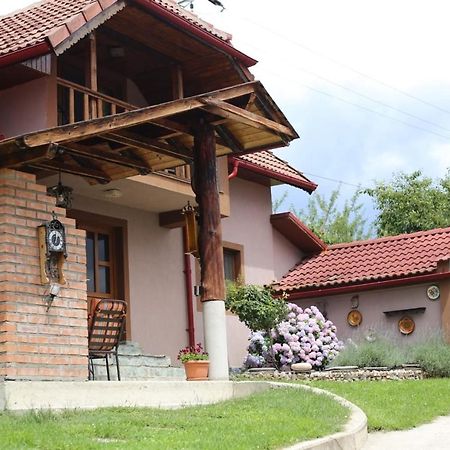 Vila Casa Darius Novaci-Străini Exteriér fotografie