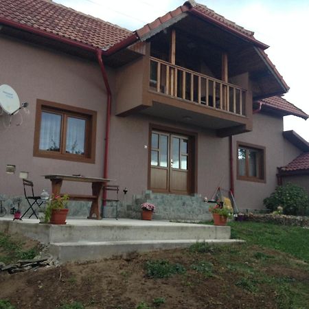 Vila Casa Darius Novaci-Străini Exteriér fotografie