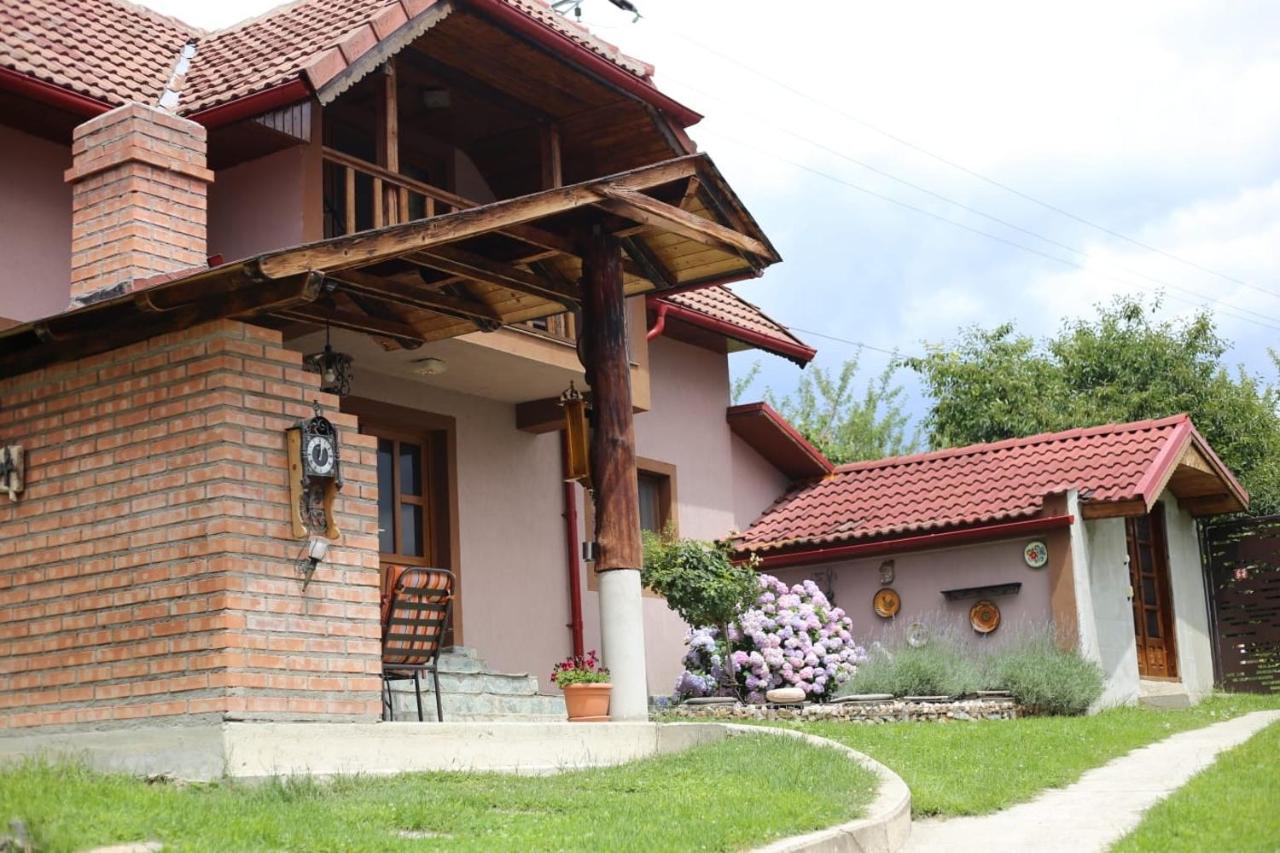 Vila Casa Darius Novaci-Străini Exteriér fotografie