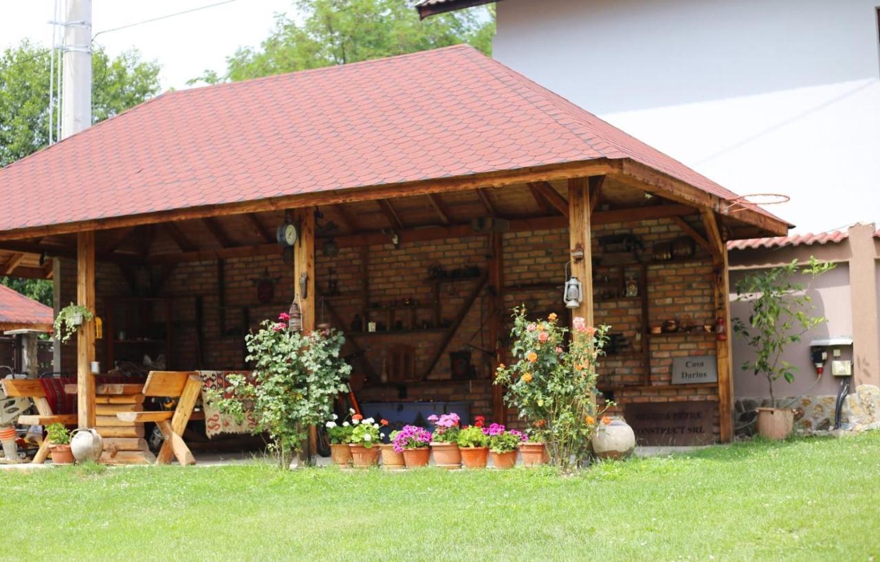 Vila Casa Darius Novaci-Străini Exteriér fotografie