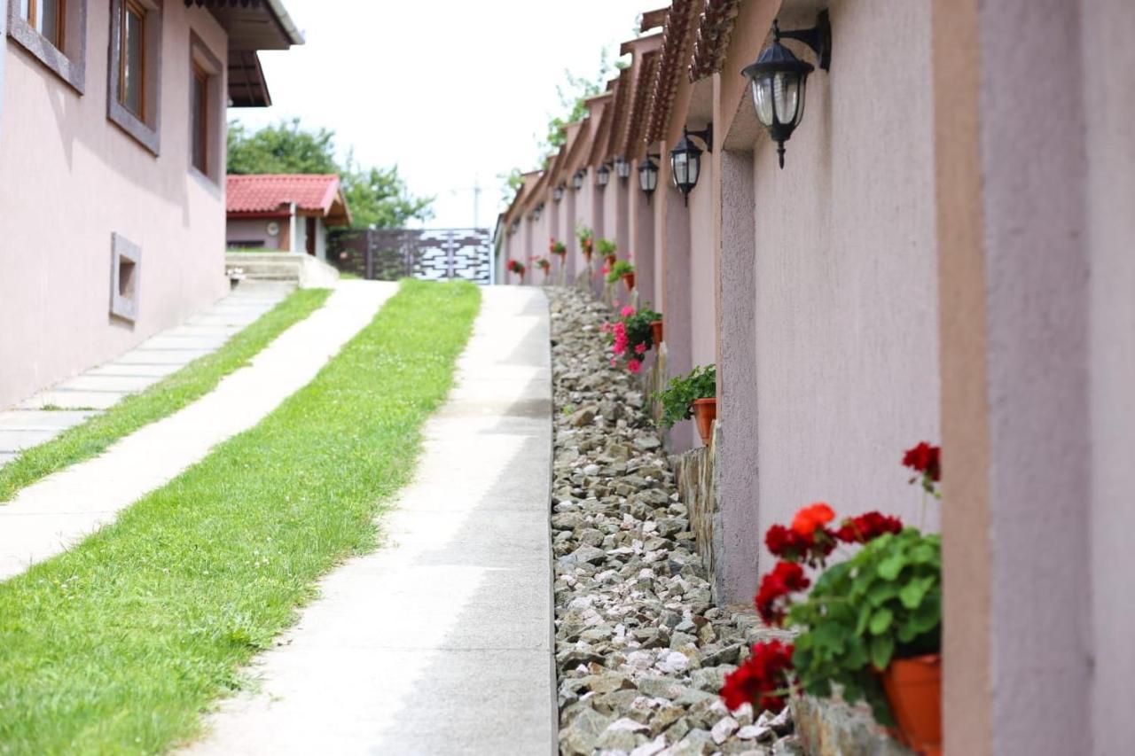 Vila Casa Darius Novaci-Străini Exteriér fotografie