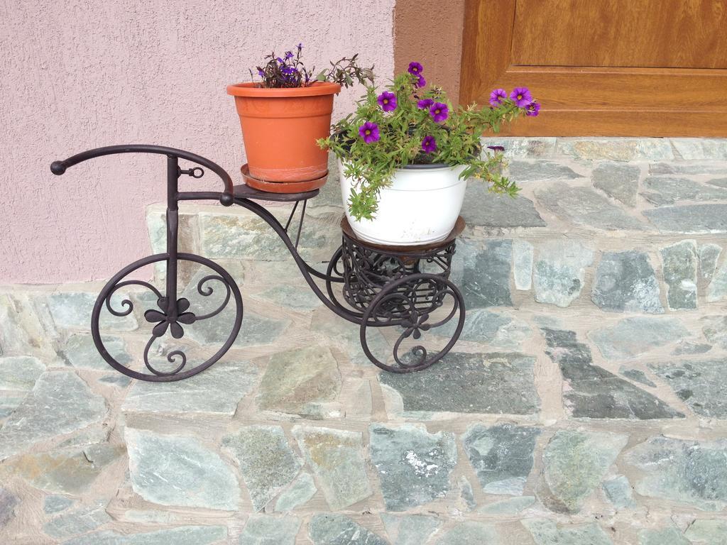 Vila Casa Darius Novaci-Străini Exteriér fotografie