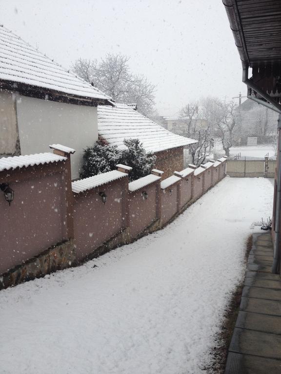 Vila Casa Darius Novaci-Străini Exteriér fotografie