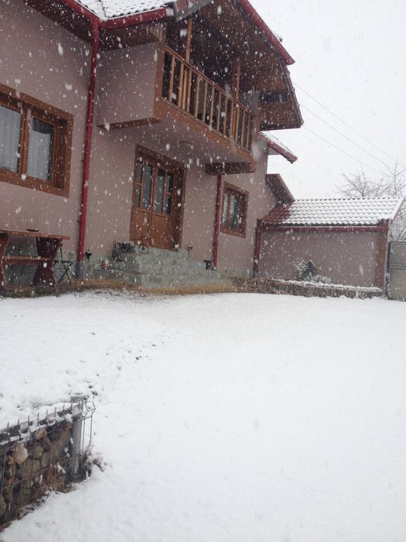 Vila Casa Darius Novaci-Străini Exteriér fotografie