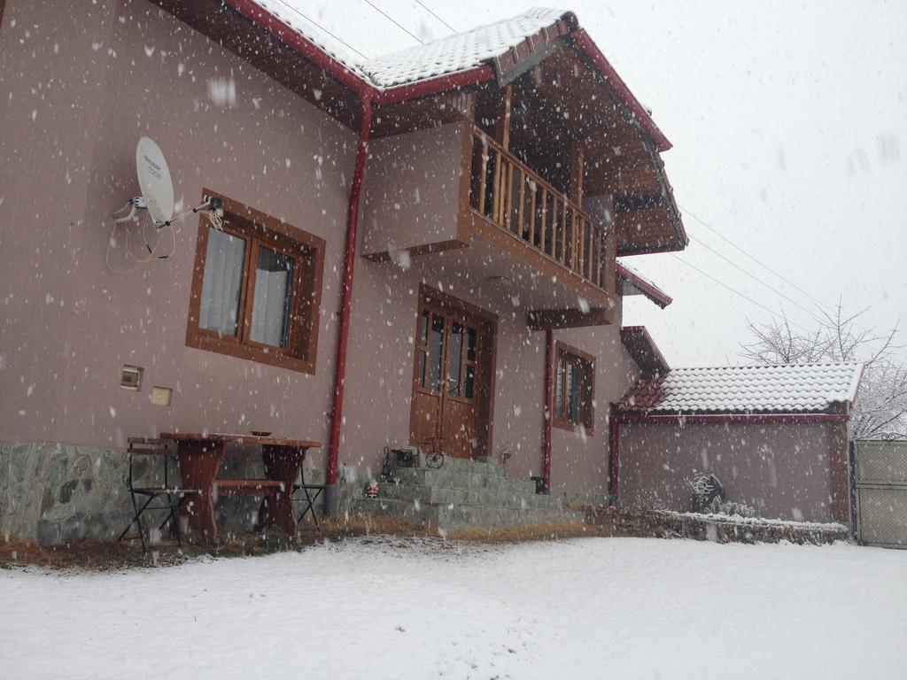 Vila Casa Darius Novaci-Străini Exteriér fotografie